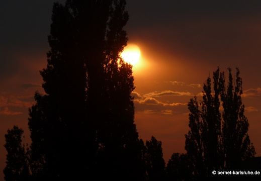 09-07-01-zuhause 149-3