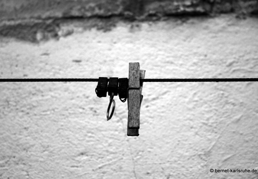09-09-11-jva-garten- 152