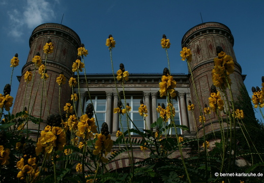 09-09-20-schlossgarten- 218