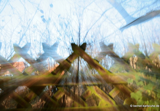09-11-25-jva-garten 212