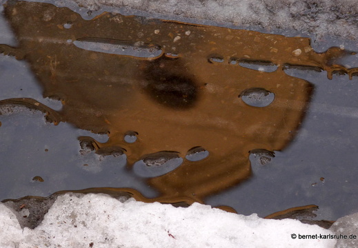 09-12-22-spiegelung-brahmsstrasse 001-11