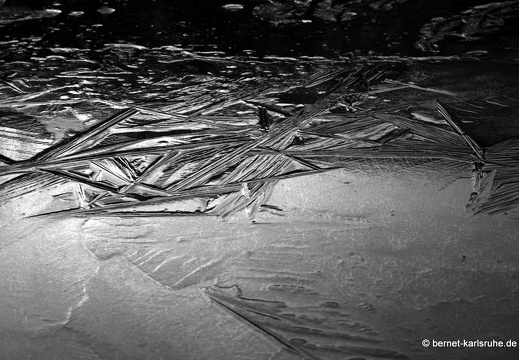 09-12-27-jva-garten 103