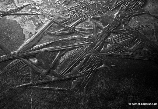 09-12-27-jva-garten 104