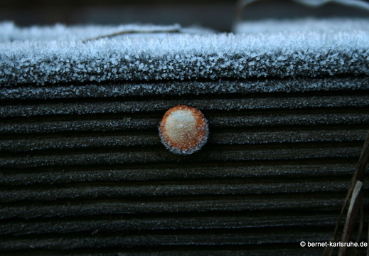 09-12-27-jva-garten 182