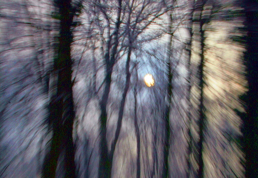 09-01-12-winterimpressionen-kandel 172