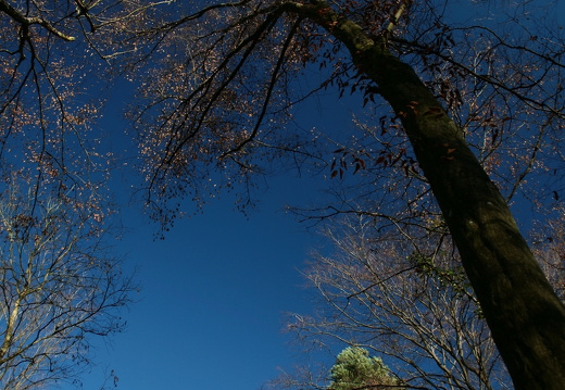 09-11-19-kandel- 123