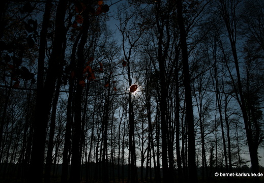 09-11-19-kandel- 145