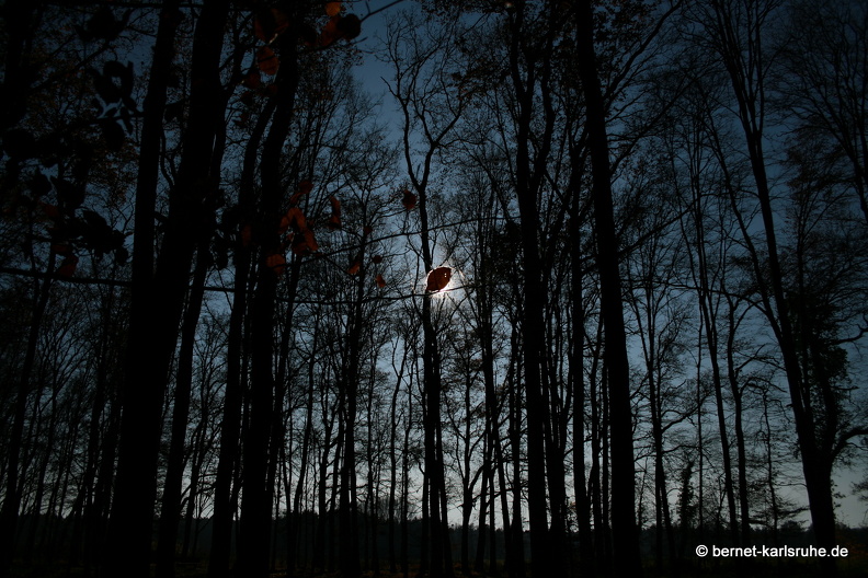 09-11-19-kandel- 145.jpg