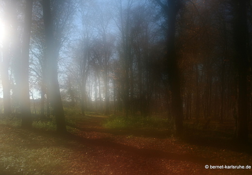 09-11-19-kandel- 151