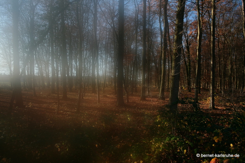 09-11-19-kandel- 214.jpg