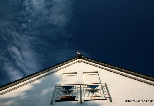 09-06-17-linkenheim-stoerche-004