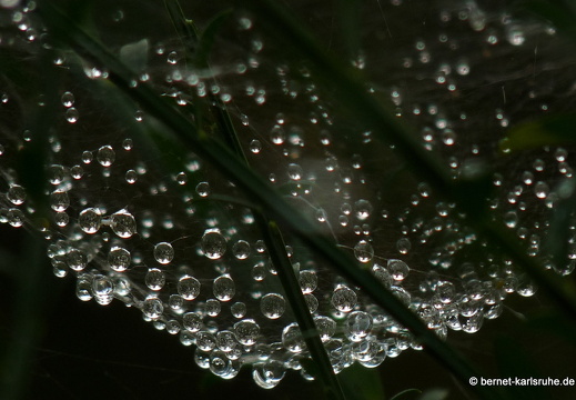 09-09-24-reichshof- 102