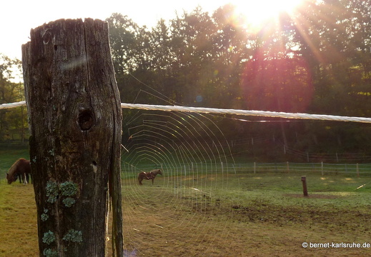 09-09-25-reichshof- 056