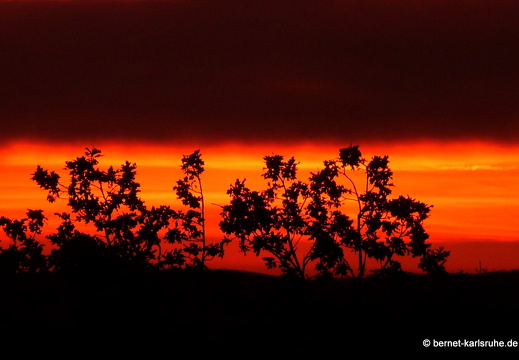 10-10-30-bergwald-sonnenaufgang-3