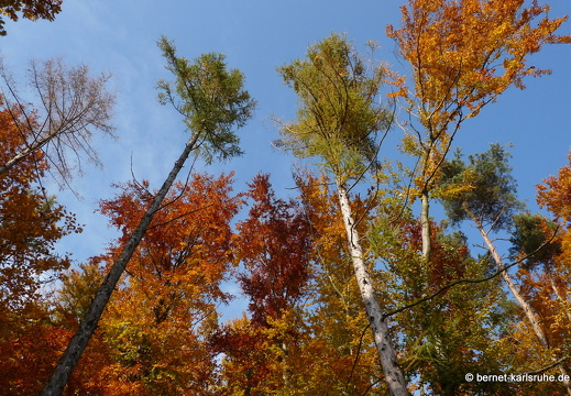 10-10-31-gruenwettersbach-13