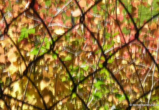 10-11-05-gruenwettersbach-62