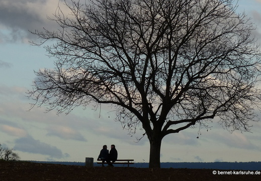 10-11-09-hohenwettersbach-69