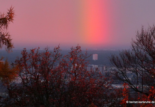 10-11-10-bergwald-sonnenaufgang-regenbogen-8