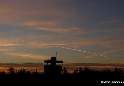 10-11-14-bergwald-sonnenaufgang-3