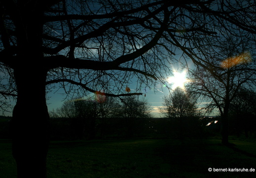 10-11-14-hohenwettersbach- 003