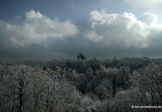 10-11-26-bergwald-karlsruhe-schnee-18