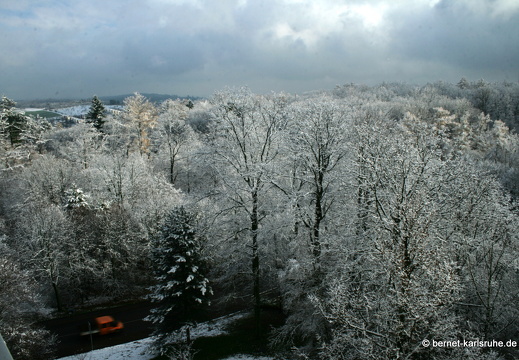 10-11-26-bergwald-karlsruhe-schnee-19
