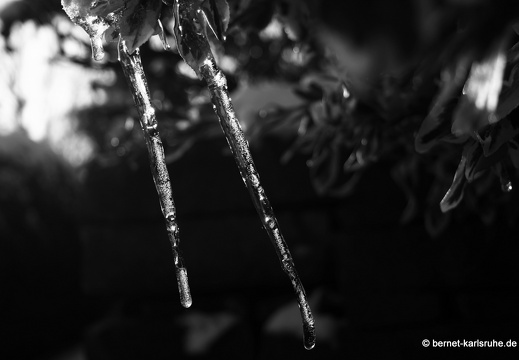 10-11-30-hohenwettersbach-schnee--63