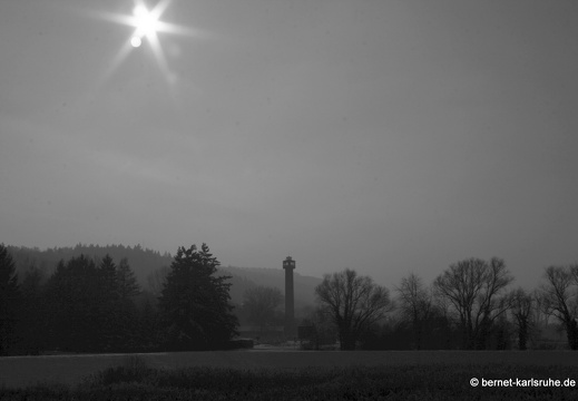 10-12-03-durlach-brutgebiet-schnee-10