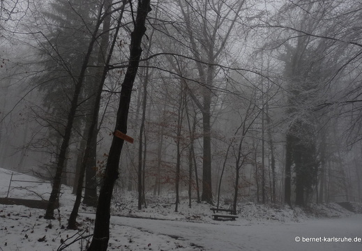 10-12-06-bergwald-wolfartsweier-wald-schnee-27
