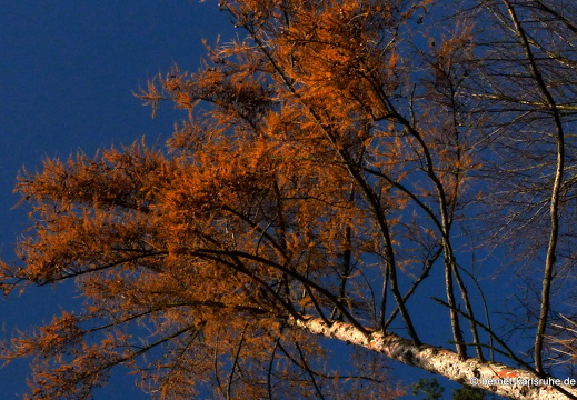10-12-13-gruenwettersbach-32