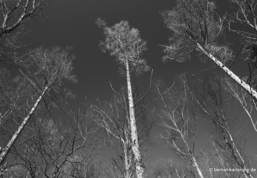10-12-13-gruenwettersbach-34