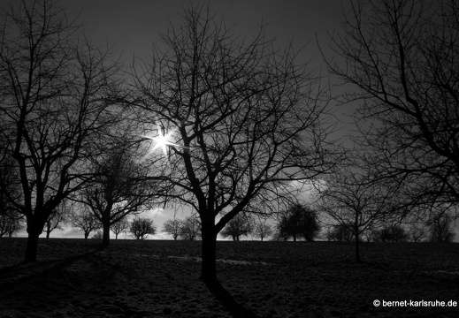 10-12-13-gruenwettersbach-48