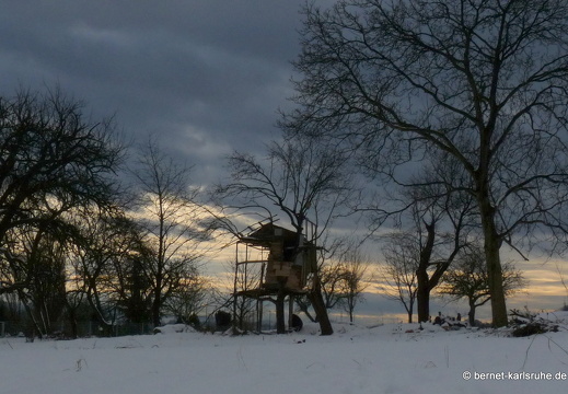 10-12-19-h-g-wettersbach-baumhaus-schnee-2