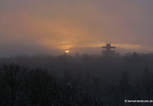 10-12-21-bergwald-wasserturm-nebel-1