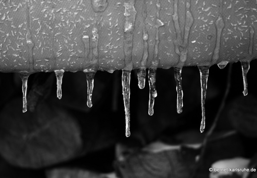 10-12-26-eiszapfen138