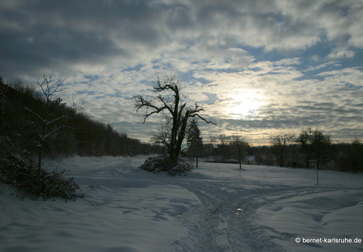 10-12-26-gruenwettersbach-schnee-52
