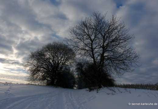 10-12-26-hohenwetttersbach-schnee-67