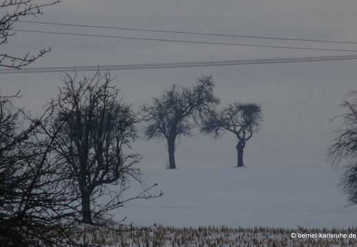 10-12-27-hohenwettersbach-batzenhofweg-schnee-93