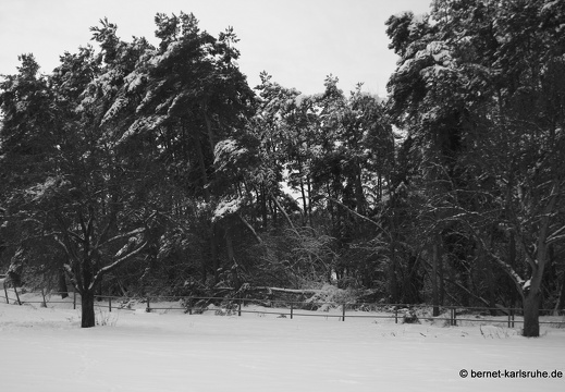 10-12-27-hohenwettersbach-batzenhofweg-schnee-94