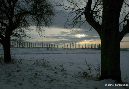 10-12-27-hohenwettersbach-pappelallee-32