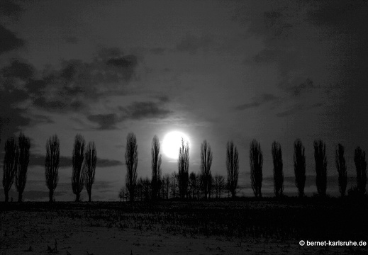 10-12-27-hohenwettersbach-pappelallee-schnee-51