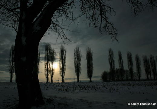 10-12-27-hohenwettersbach-pappelallee-schnee-53
