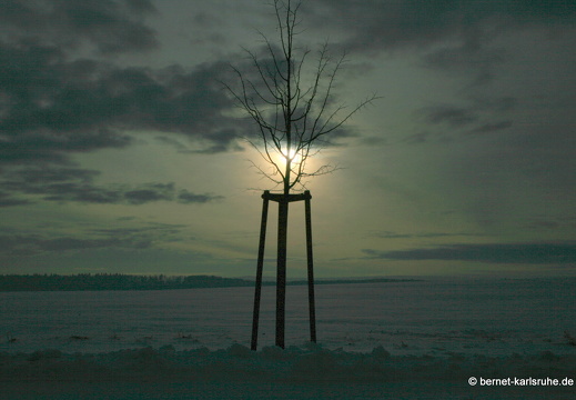 10-12-27-hohenwettersbach-pappelallee-schnee-54
