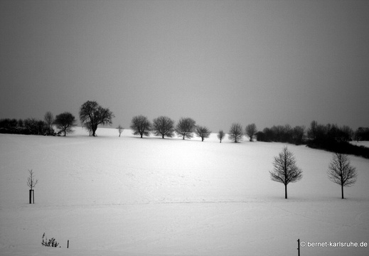 10-12-29-hohenwettersbach-schneelandschaft-30