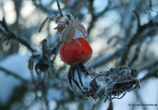 10-12-26-gruenwettersbach-schnee-41