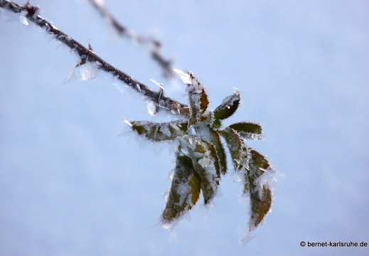 10-12-26-gruenwettersbach-schnee-46