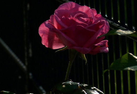 10-06-04-duesseldorf-19