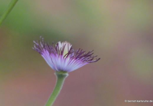 10-06-05-duesseldorf-26