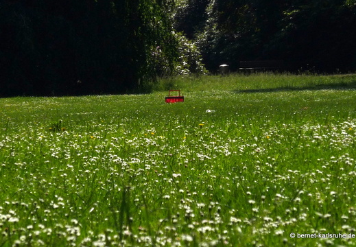 10-06-06-duesseldorf-41