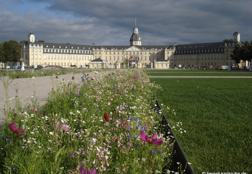 11-10-06-schlossplatz-4